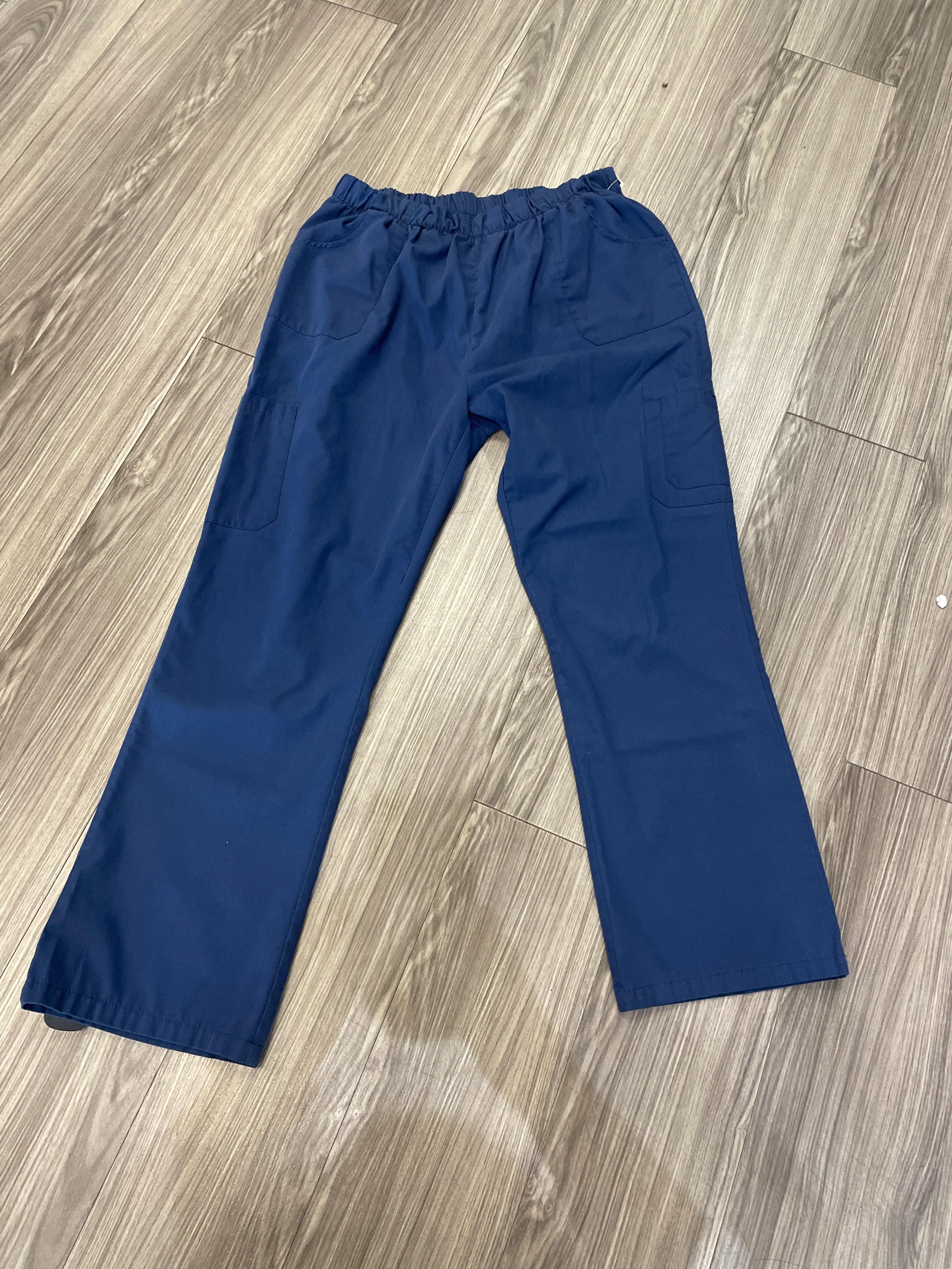 Blue Pants Cargo & Utility Clothes Mentor, Size Xl