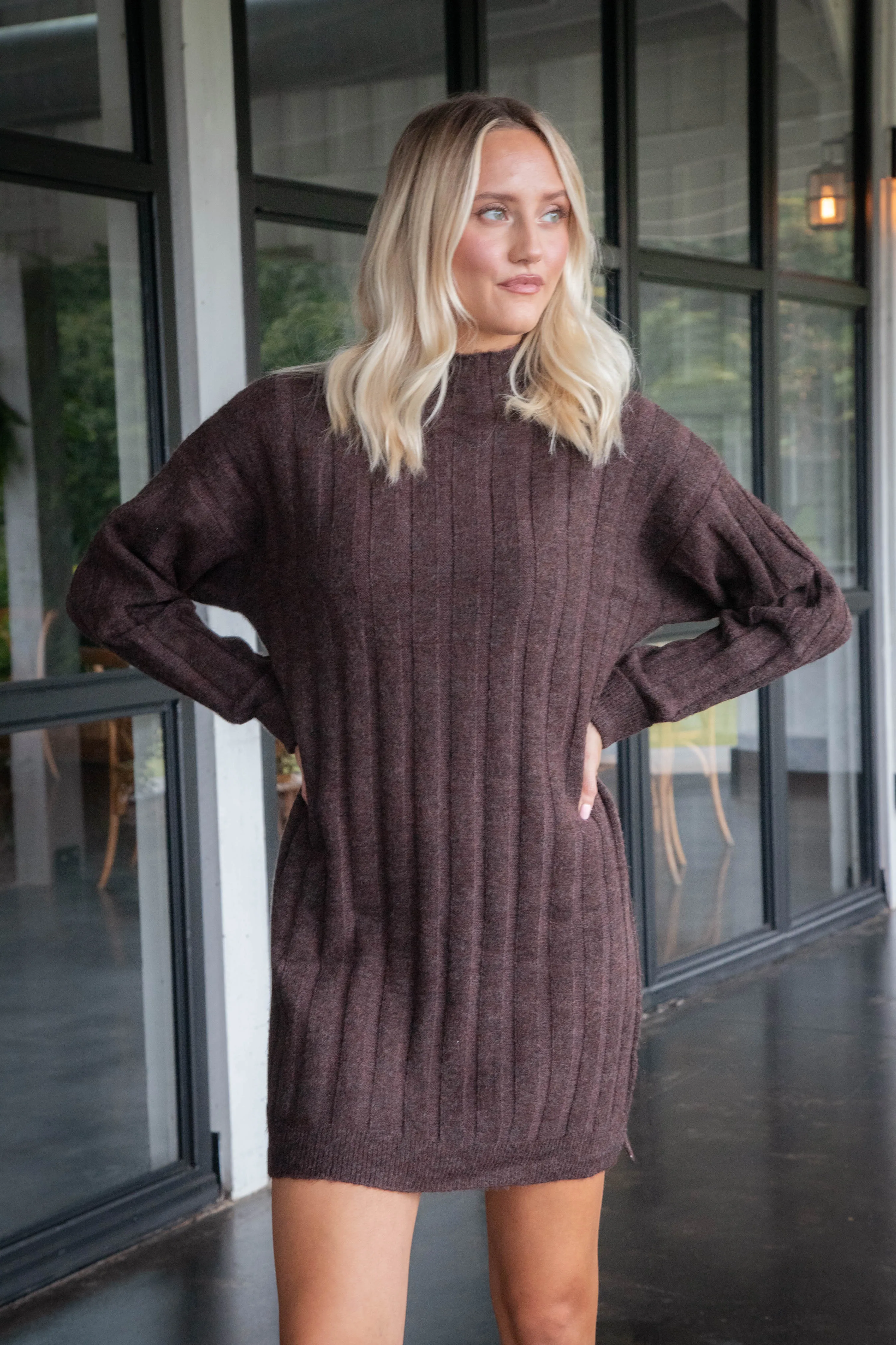 Margo Mock Neck Sweater Dress, Brown