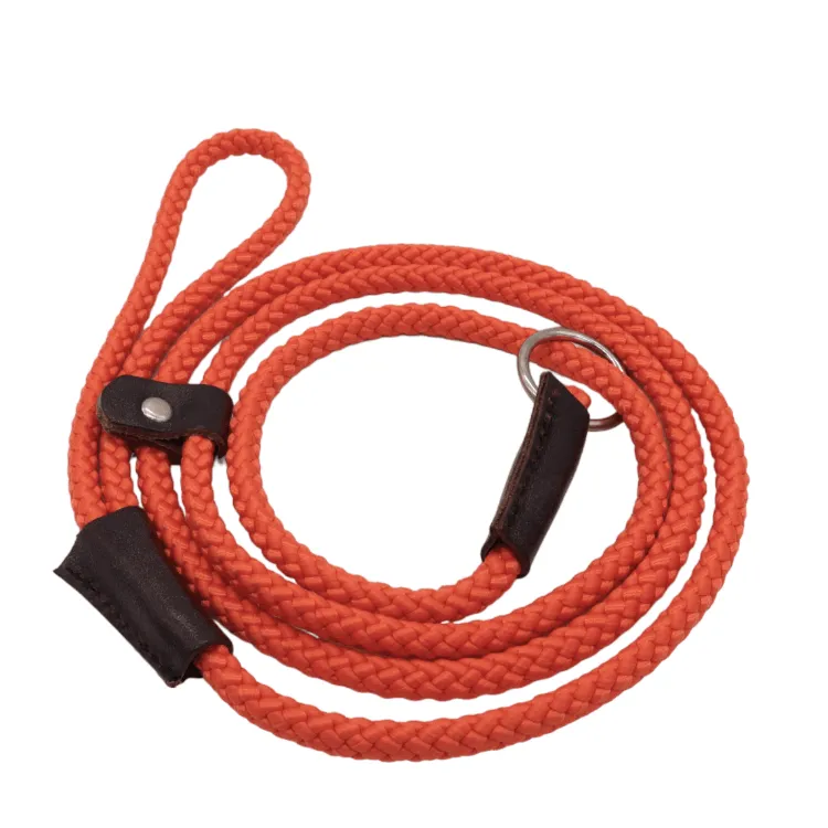 Thin Rope Slip Lead for Dogs - 1.4m Long